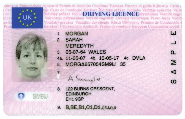 DVLA English full licence sample