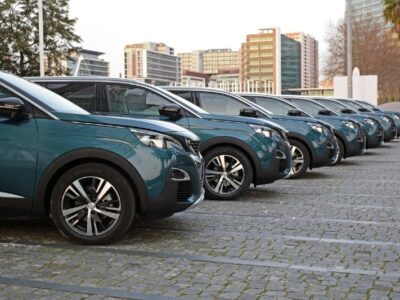 DriveWell Fleet