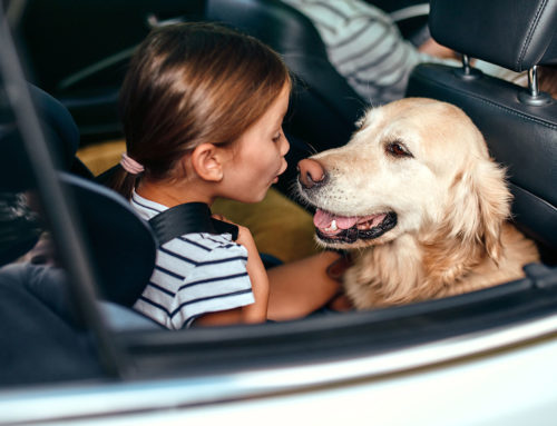 What are the top features to look out for in a family car?