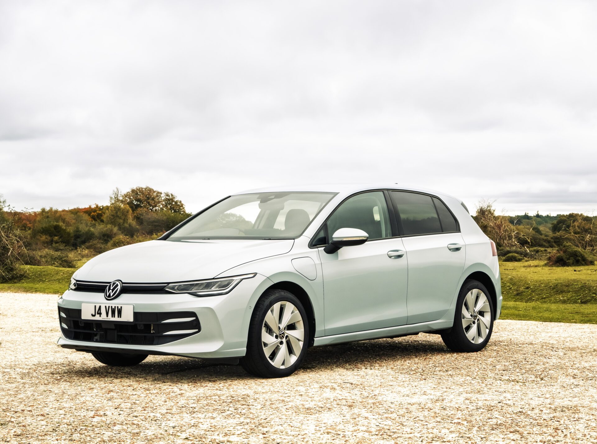 Volkswagen small businesses
