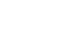 BV WHITE.png