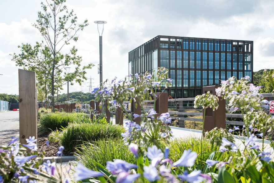 Modern industrial building with blue-tinted windows and vertical slating, surrounded by landscaped gardens with purple…