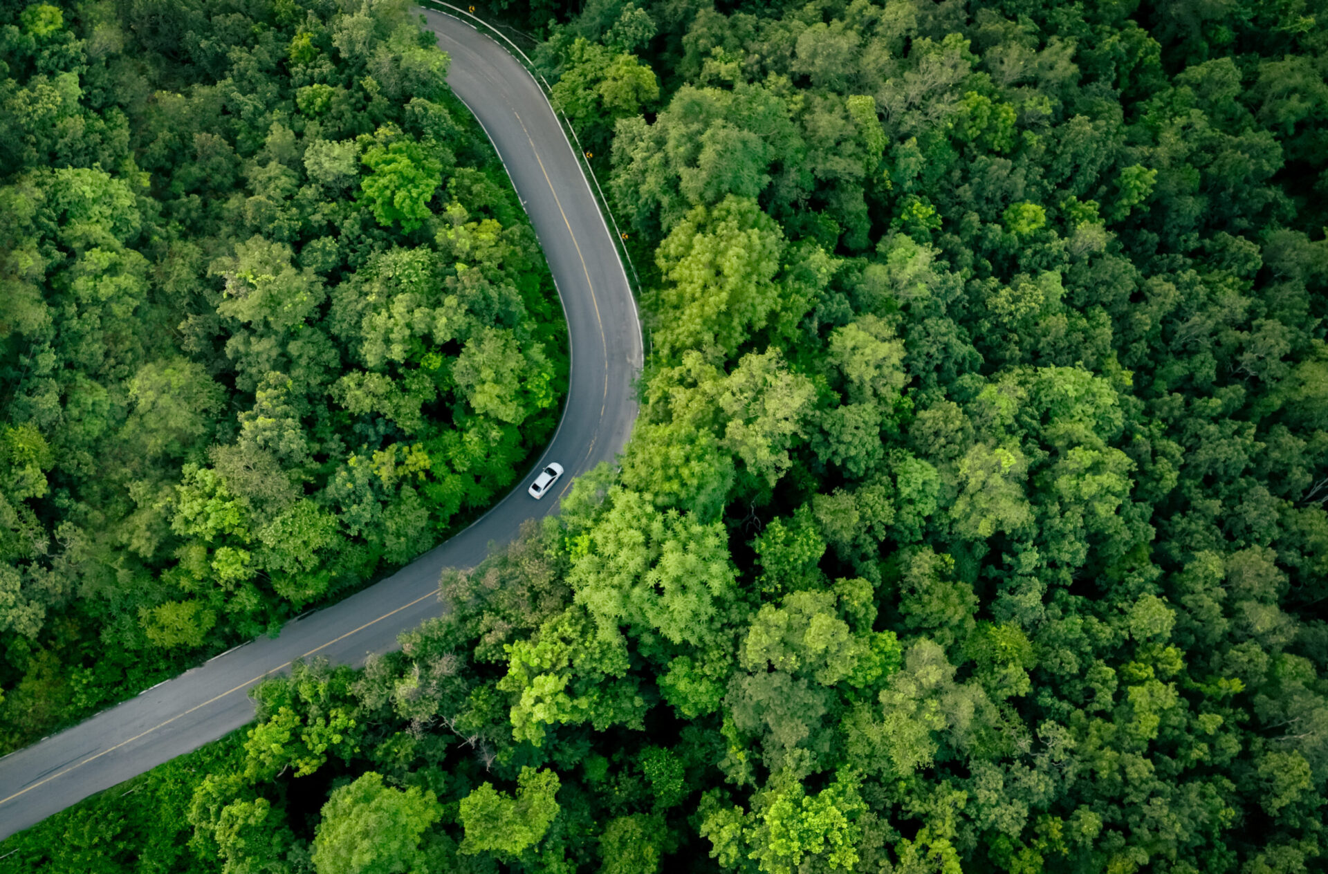 Aerial view of a winding road through dense green forest with a single white car driving through the trees.
