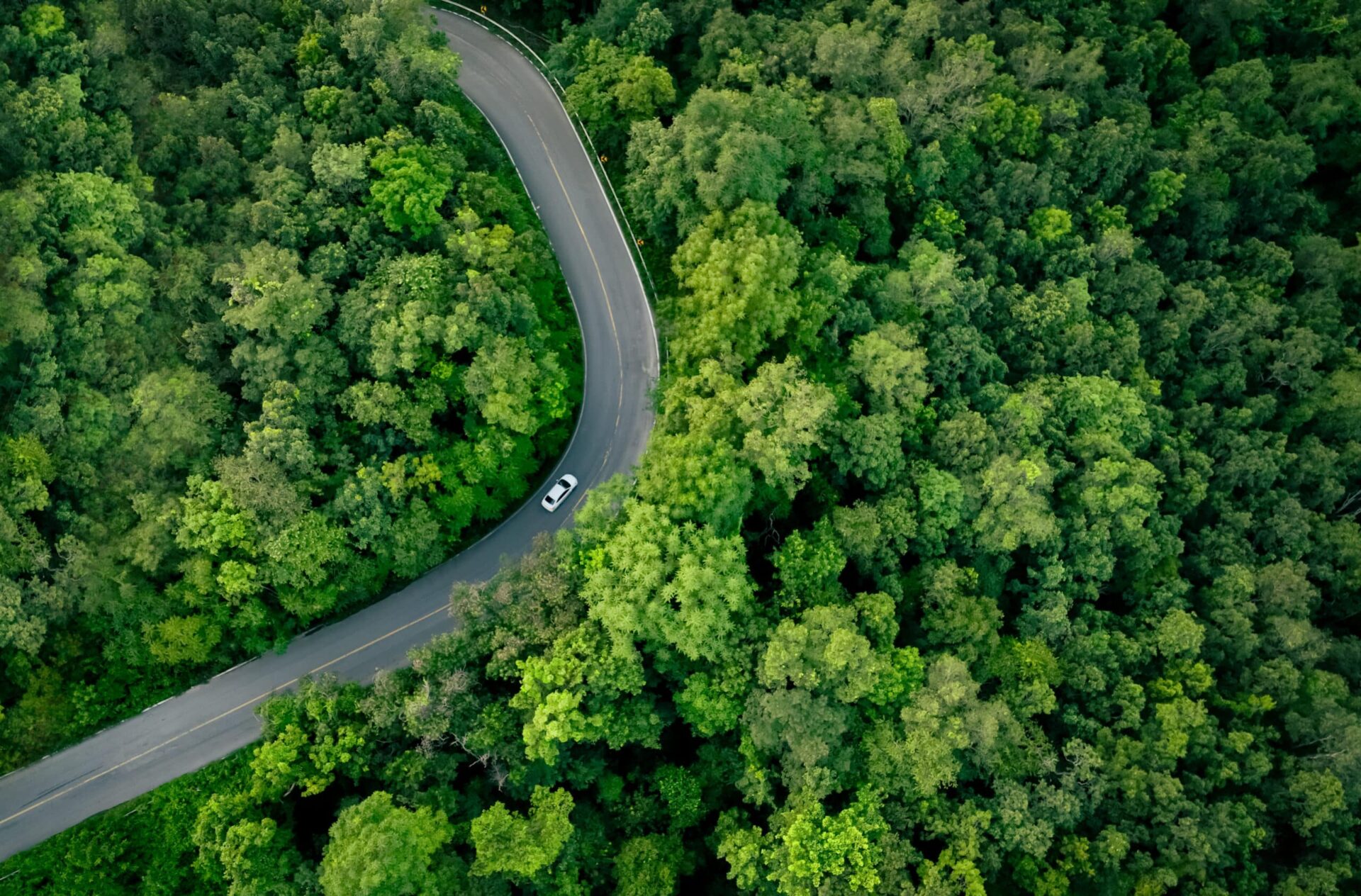 Aerial view of winding road through dense green forest with single white vehicle driving through woodland.