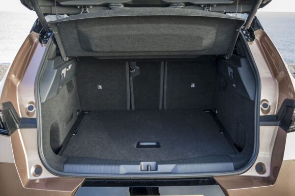 Vauxhall Grandland Electric Ultimate 109