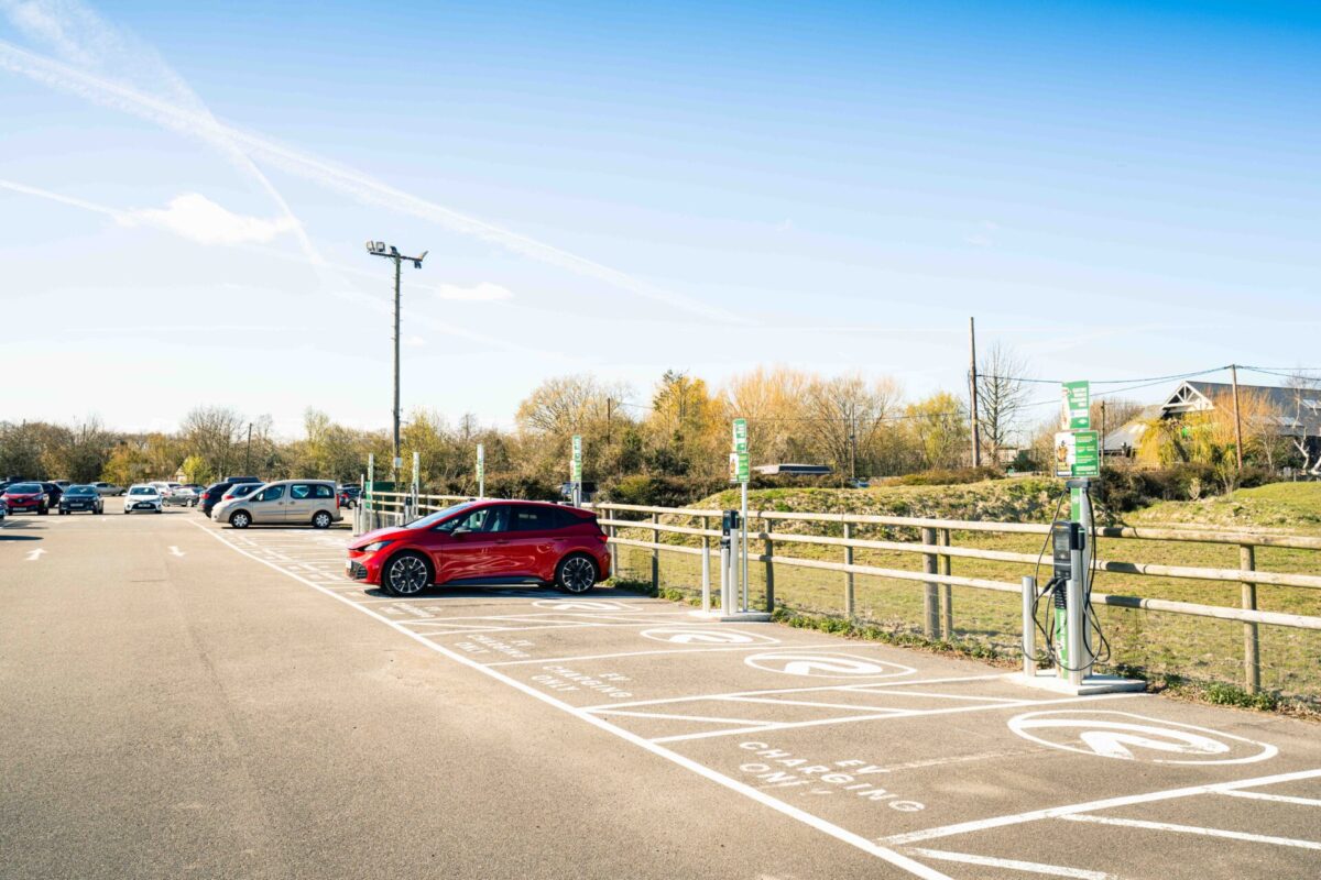 Wingham Wildlife EV