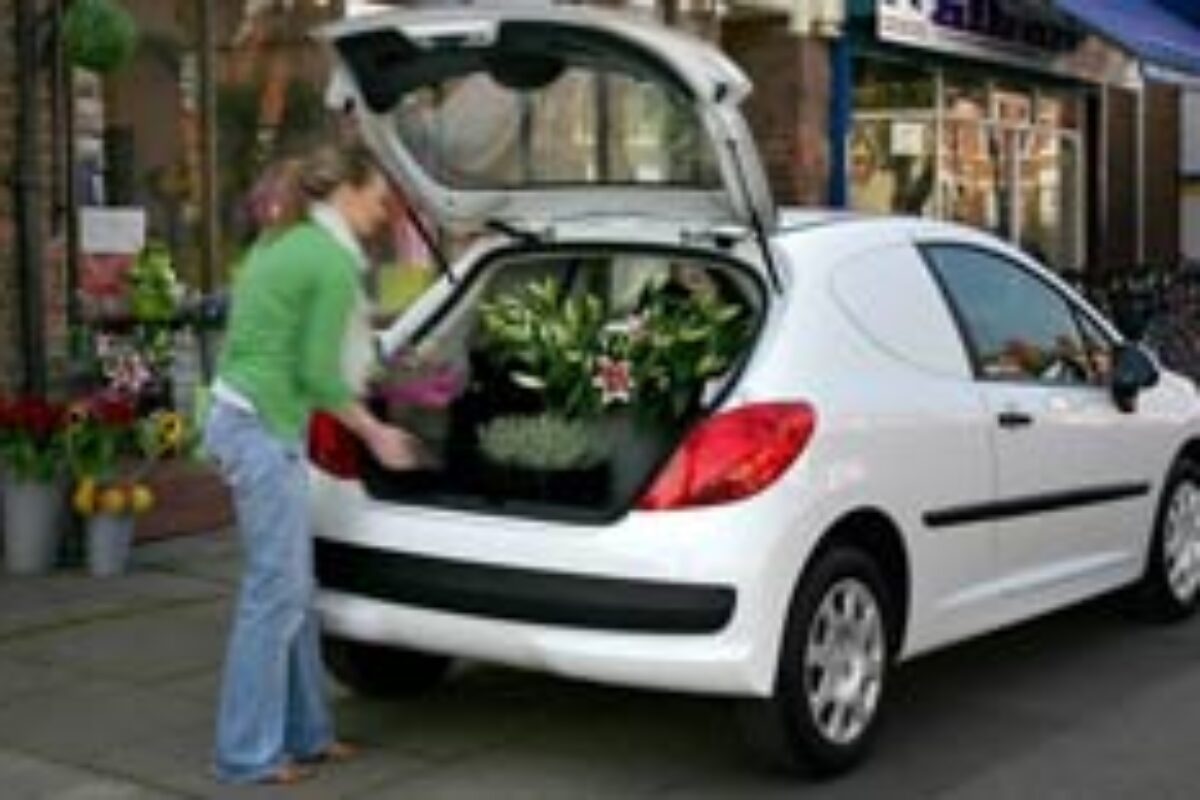 94_Pug207Van246x155