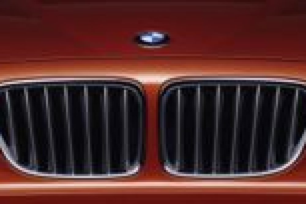 BMW 1x grille