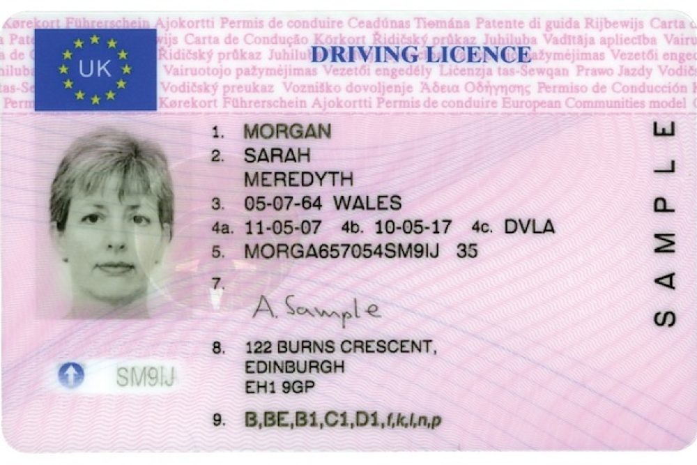 DVLA English full licence sample