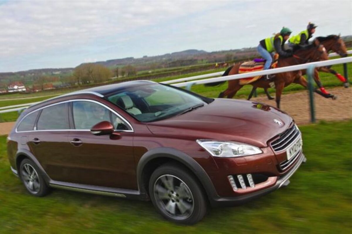 Peugeot 508RXH side horses