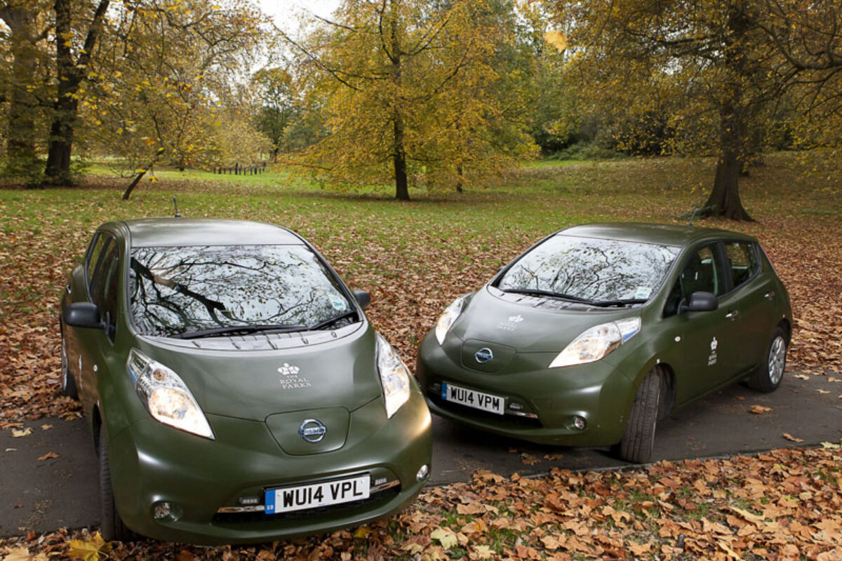 Royal Park Nissan Leafs 800
