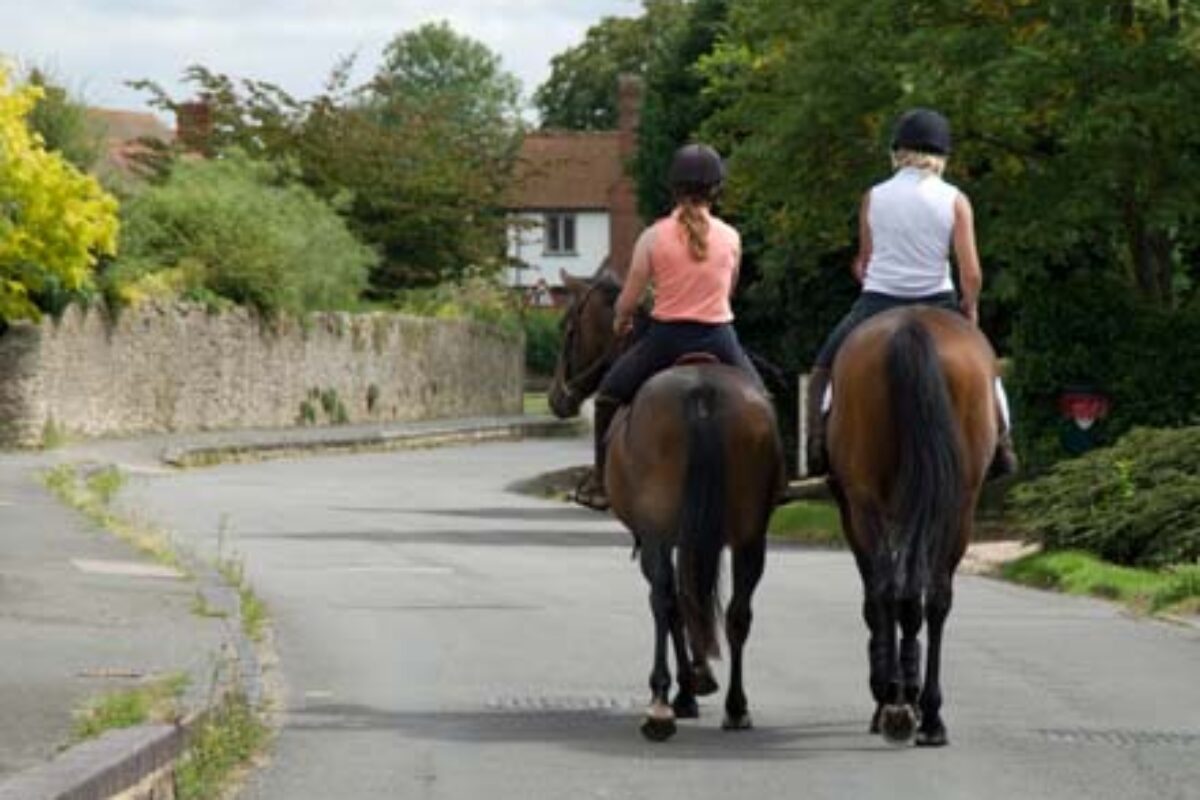 Sharing the road with horses