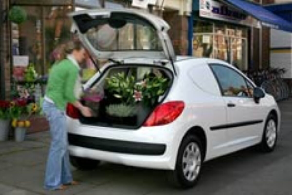 newvantax246x155